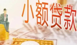 成都天府新区民间小额借贷-成都天府新区身份证贷款电话-成都天府新区大学生信用贷款