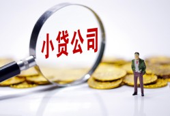成都天府新区哪里可以小额贷款-成都天府新区私人私人借贷-成都天府新区无抵押私人贷款