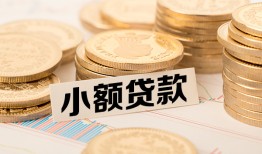 成都天府新区哪里有小额贷款-成都天府新区身份证贷款平台-成都天府新区民间短借