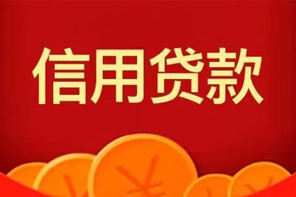 成都天府新区个人私借